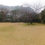橋本 - 庭と桜の木
