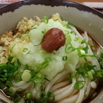 桜製麺 - 梅おろしぶっかけ 大（冷）