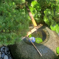 新三浦 博多本店 - 