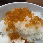 ヌードル＆スパイスカレー 今日の1番 - 