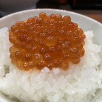 ヌードル＆スパイスカレー 今日の1番 - 