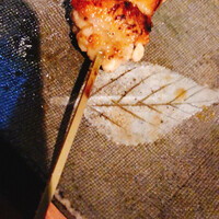 十二社通り 地鶏焼とりや - 