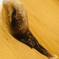 鮨 しゅん輔 阿佐ヶ谷 - 舞鶴の鳥貝