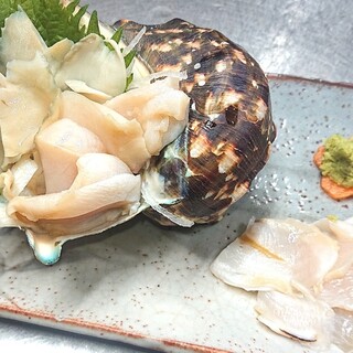 奄美大島料理 かめ_1