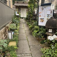 古月 - 