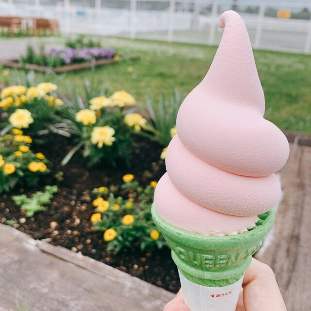 紫竹ガーデンカフェ - 帯広（洋菓子）の写真