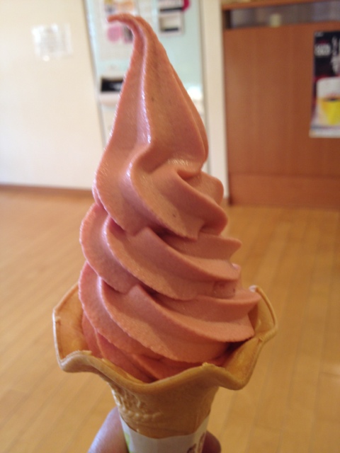 赤沢日帰り温泉館 ラウンジ name=
