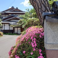 無名 - 