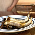 壽山 - 安曇川の鮎