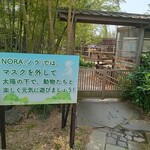 Noraカフェ - 