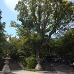Shokurakuan Houtoku - 楠の木のしたです