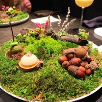 L'EAU - ②水　葉　土　樹