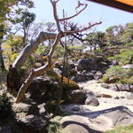 フレンチダイニング竜 - 店内から見える日本庭園