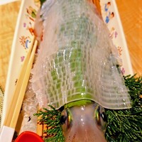 対馬のどぐろとイカ活き造り 博多 魚蔵 都ホテル店 - 