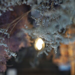 洋菓子店 センチメント - 