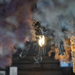 洋菓子店 センチメント - 