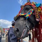 初駒 - 完走した馬。