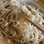 蕎麦の里 びばいろ - 