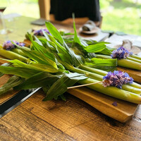 Terroir愛と胃袋 - 