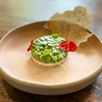 Terroir愛と胃袋 - 