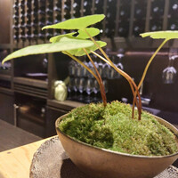 ケンゾーエステイトワイナリー 祇園店 - 