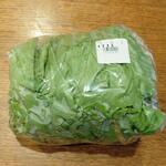 ディオ - 長野県産 レタス１玉 (税抜)119円 (2022.06.20)