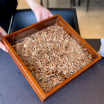 プレゼンテ スギ - 海老