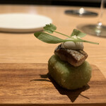 マンサルヴァ - 