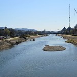 Reine des pres - 遙かなる鴨川　恋人達の憩いの地