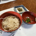 甲佐町やな場 - 