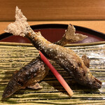 日本料理 太月 - ランチコース２０７９０円。長良川天然鮎。小ぶりと言っても十分迫力があり、食べ応えもあります。とーっても美味しかったです（╹◡╹）（╹◡╹）