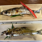 甲佐町やな場 - 