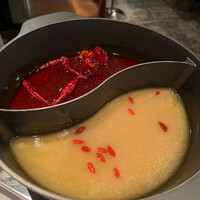 CINA New Modern Chinese - 