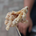 中津 彩鶏々 - Vチキン