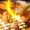 鶴橋の味 炭火焼ホルモン 友ちゃん - 料理写真:友ちゃんホルモン炎上