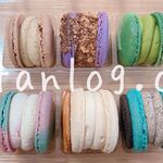 マカプレッソ - 人気トップ６個セット