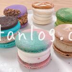 マカプレッソ - トゥンカロン６個