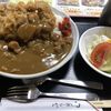 嵯峨野 - カツカレー小 (950円)