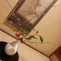 黒茶屋 - 