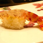 鮨 井上 - 車海老