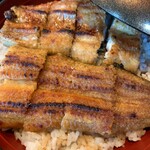 うなぎ屋 源内 - 上うな丼