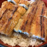 うなぎ屋 源内 - 上うな丼