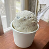 島のアイスクリーム屋 トリトン - 料理写真:ダブル(600円)　※焼き栗、大島産塩バニラ