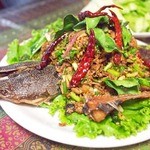 いなかむら - ラーププラードゥークヤーン