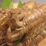 Hajimeya - 石狩湾の蝦蛄