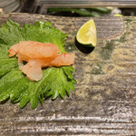 まき田鮨 - 白海老