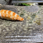 まき田鮨 - 車海老