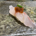 まき田鮨 - こち