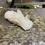 まき田鮨 - けんイカ