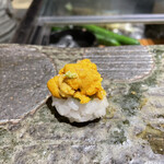 まき田鮨 - 山口の雲丹